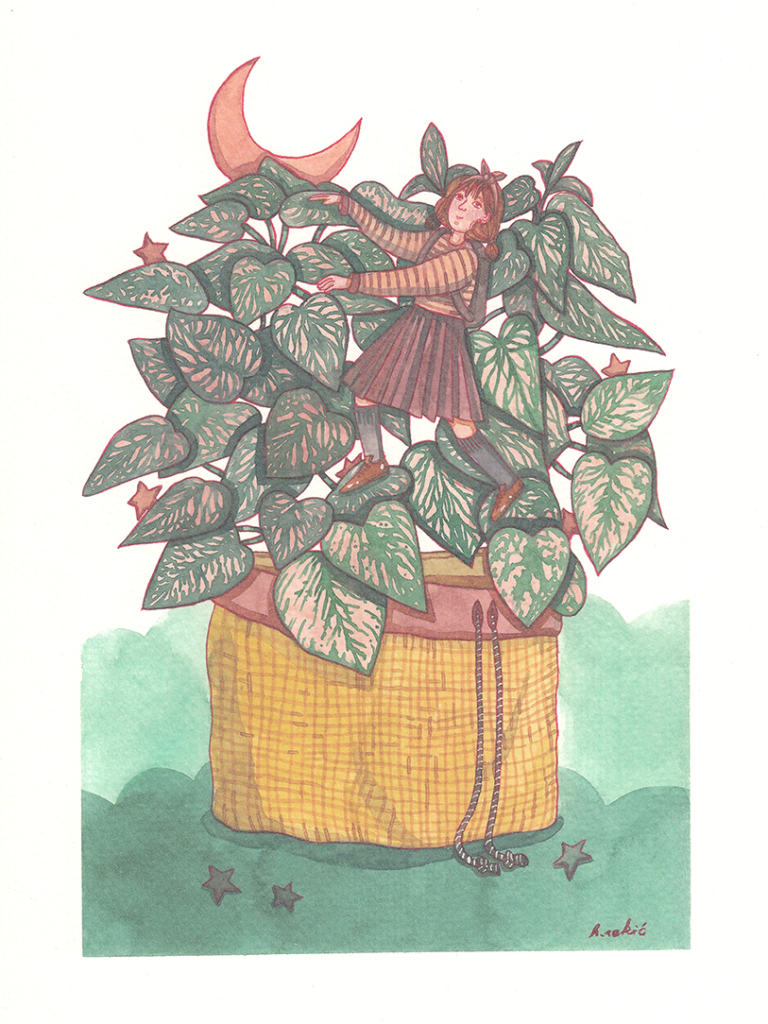 Aglaonema